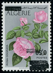 1665: Algerien