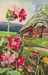 Bild austauschen