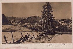 Bild austauschen