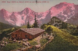 7 ½ Rp.-Frankatur, Tellknabe grau, Type II, sauber gestempelt ...