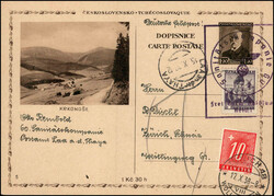 5655: Svizzera - Postage due stamps