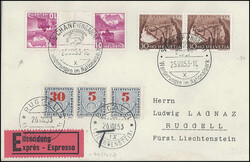4175: Liechtenstein - Postage due stamps