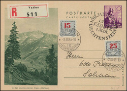 4175: Liechtenstein - Postage due stamps