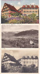 7 versch. Ansichtskarten, vor allem aus Aegeri, Walchwil.