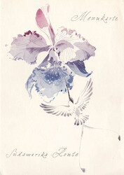 5655: スイス - Documents