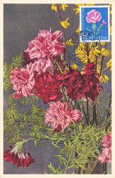 1963, 30Rp. Kornblume + 50Rp. Gartennelke, je auf MK mit ET-Stempel ...