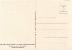 1964, 10Rp. Gelbe Narzisse, auf MK mit ET-Ausgabetag-Stempel