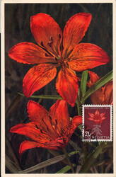 1947, 20Rp. Alpenblumen auf farbiger Foto-MK mit ET-Stempel Weissbad ...