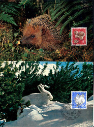 1965, Einheimische Wildtiere auf 5 herrlichen Foto MK's mit ET-Stempel
