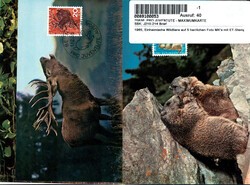 1965, Einheimische Wildtiere auf 5 herrlichen Foto MK's mit ET-Stempel