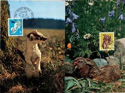 1966, Einheimische Wildtiere auf 5 herrlichen Foto MK's mit ET-Stempel