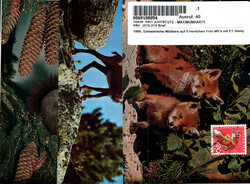 1966, Einheimische Wildtiere auf 5 herrlichen Foto MK's mit ET-Stempel