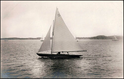 1912, offizielle Karten, Nr. 303, 304, 310 und 317, 4 ungebrauchte ...