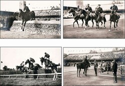 1912, offizielle Karten, Nr. 230, 241, 242, 247, 248, 249, 250, 251, ...