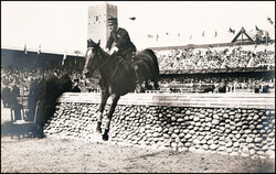 1912, offizielle Karten, Nr. 230, 241, 242, 247, 248, 249, 250, 251, ...