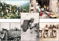 SRI LANKA (Ceylon), Ansichtskarten, interessante Sammlung von ca. 50 ...