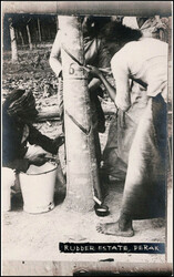 MALAYA, ca. 1930, 17 ungebrauchte Foto-Ansichtskarten, interessante ...