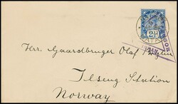 Natal, 1902, 1/2 P. grün und zweimal 1 P. rosa, bzw. 2 1/2 P. blau ...