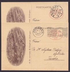 2 pauschal frankierte Bestellkarten "Siegfried AG, ...