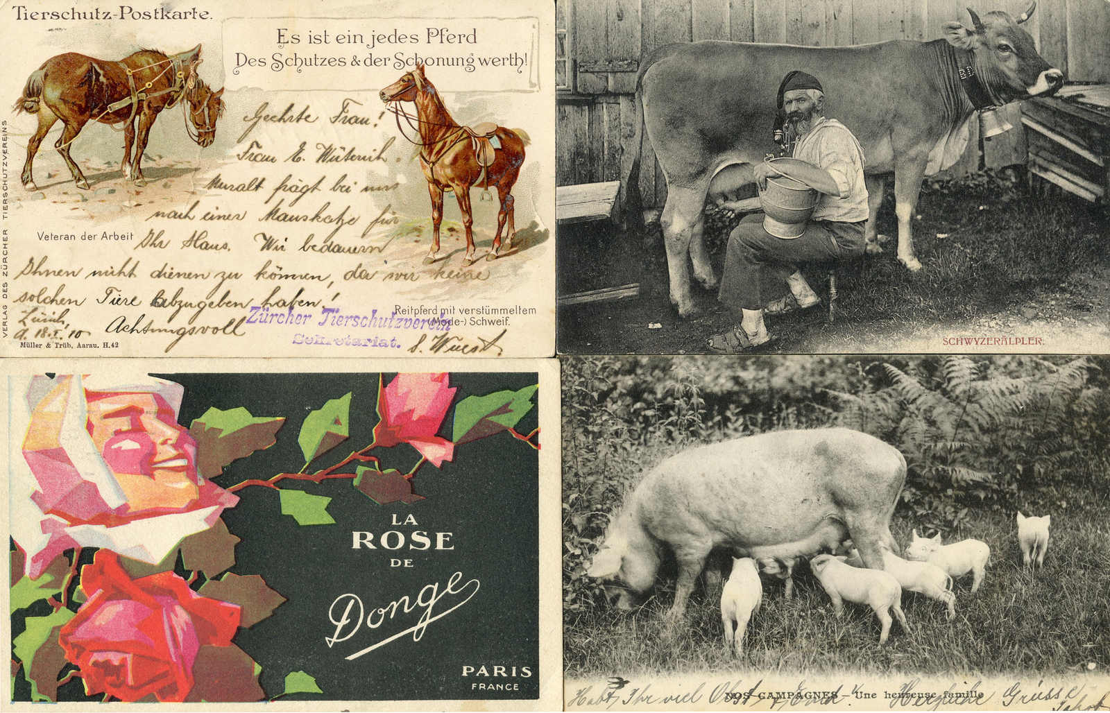Lot 739 - schweiz schweiz -  Schwarzenbach Auktion Zurich 67th Auction - Session II