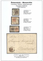 Österreich, 1850, SALZBURG, Sammlungsseite mit 3 frischen ...