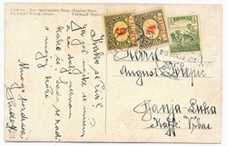 1920: Bosnia and Herzegowina Austria