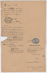 Österreich, 1896, POLA - POLICARPO - LUSSINPICCOLO, interessantes ...