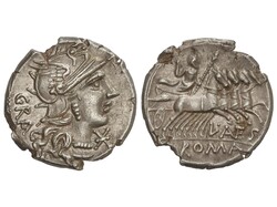 Denario. 136 a.C. ANTESTIA. L. Antestius Gragulus. Anv.: Cabeza de ...