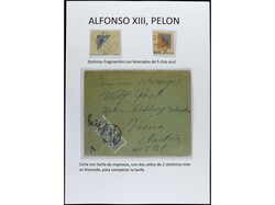 ESPAÑA. ALFONSO XIII. PELÓN. Páginas de álbum con sellos ...