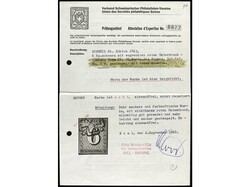 SUIZA. 1843. 6 Rp. negro, mat. roseta, líneas de fondo horizontal. ...