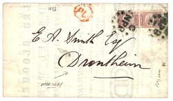 GREAT BRITAIN - PRINTED Matter to NORWAY : 1873 Pair 1/2d canc. G/NPB ...