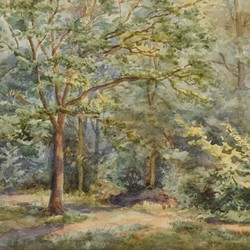 30: Aquarelle, Zeichnungen