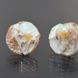 550.60: Jewelry, ear jewelry
