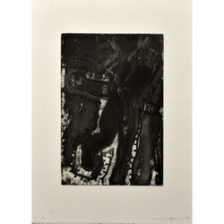 Morgner, Michael (1942 Chemnitz - tätig ebd.) Radierung auf Bütten, ...