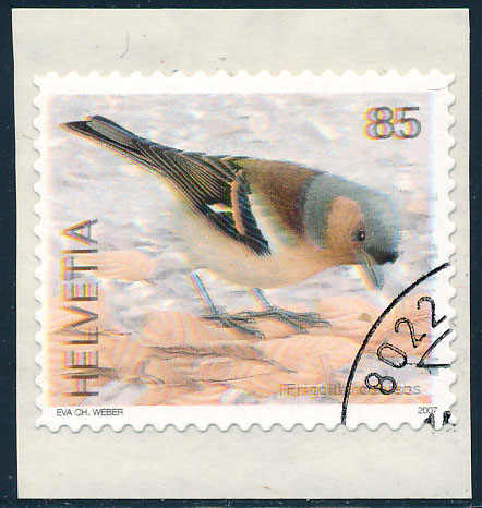 Lot 886 - schweiz ab 1907  -  MH Marken GmbH Auktion 118