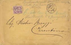 5655148: Schweiz Ziffermuster - Stempel