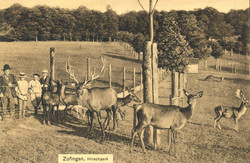 190010: Schweiz, Kanton Aargau - Postkarten