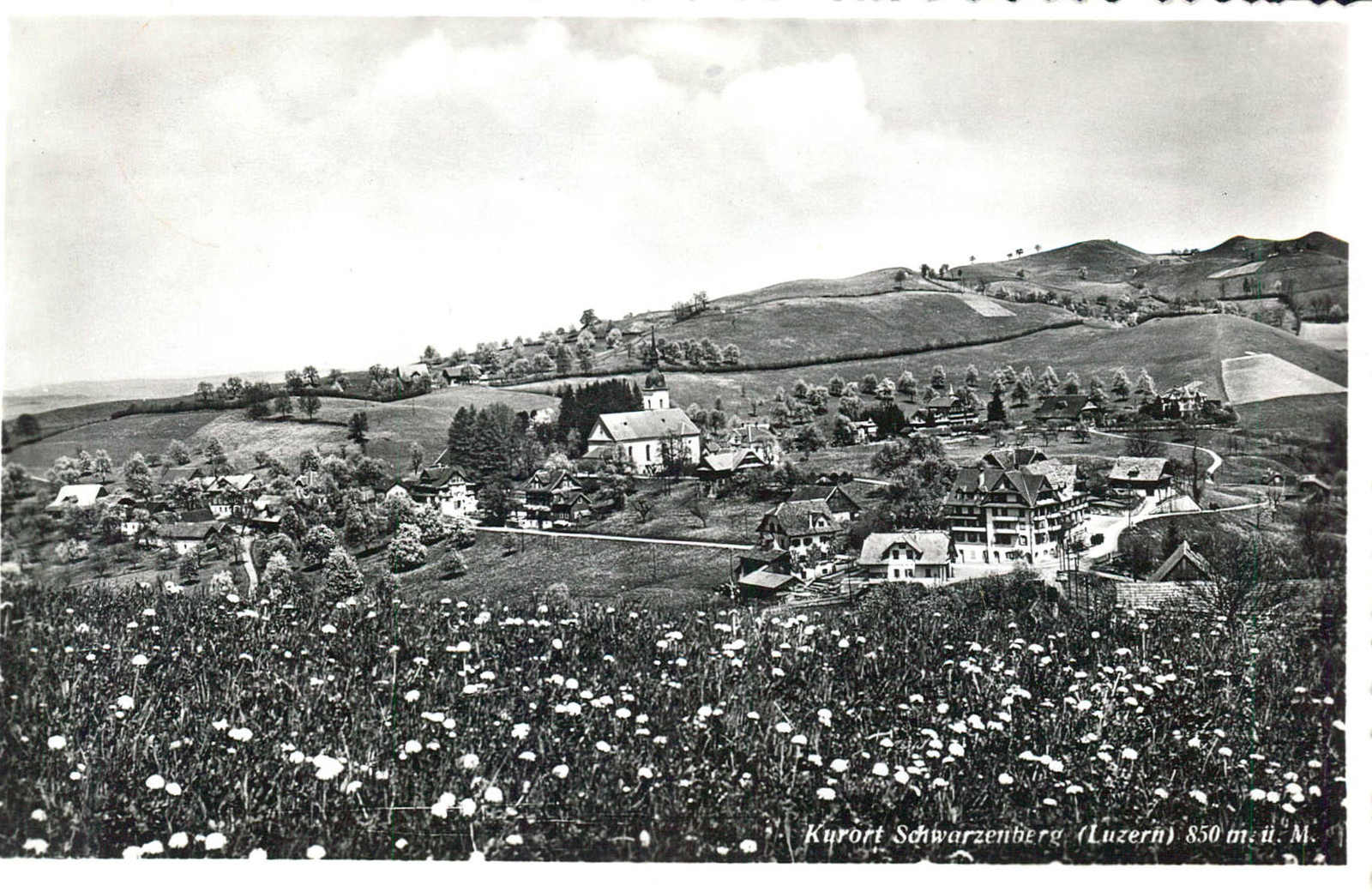 Lot 1239 - POSTKARTEN/ANSICHTSKARTEN/FOTOKARTEN/LITHOS etc. - MH Marken GmbH Auktion 118 Lot 1239 - POSTKARTEN/ANSICHTSKARTEN/FOTOKARTEN/LITHOS etc. - MH Marken GmbH Auktion 118
