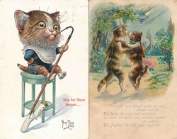 841025: Tiere, Säugetiere, Katzen
