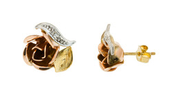 550.60: Schmuck, Ohrschmuck