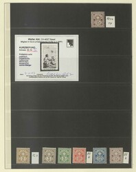 SCHWEIZ - 1881/1980, umfangreiche Sammlung in zwei ...