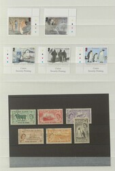 FALKLANDINSELN - schöne Partie auf Alben- und Einsteckblättern, ...