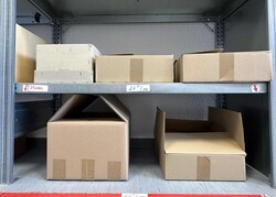 ÜBERSEE/MOTIVE - riesiger Bestand postfr. Motivausgaben ...