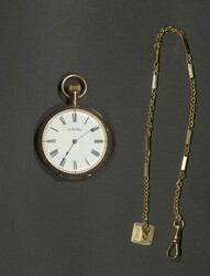 Wunderschöne Sammlung von 18 Taschenuhren, dabei zwei goldene ...