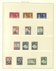 1880: Bermuda - Sammlungen