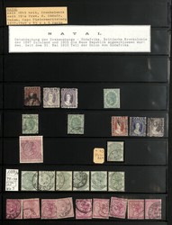 4510: Natal - Collections
