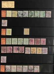 2805: Gold Coast - Collections