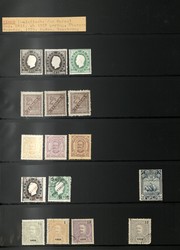 6235: Timor - Collections