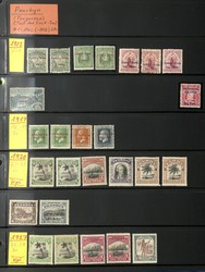 7400: Collections and Lots Oceania - Collections