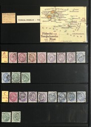 6255: Tonga - Collections